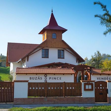 Buzás Pince Vendégház Ecsed Exterior foto